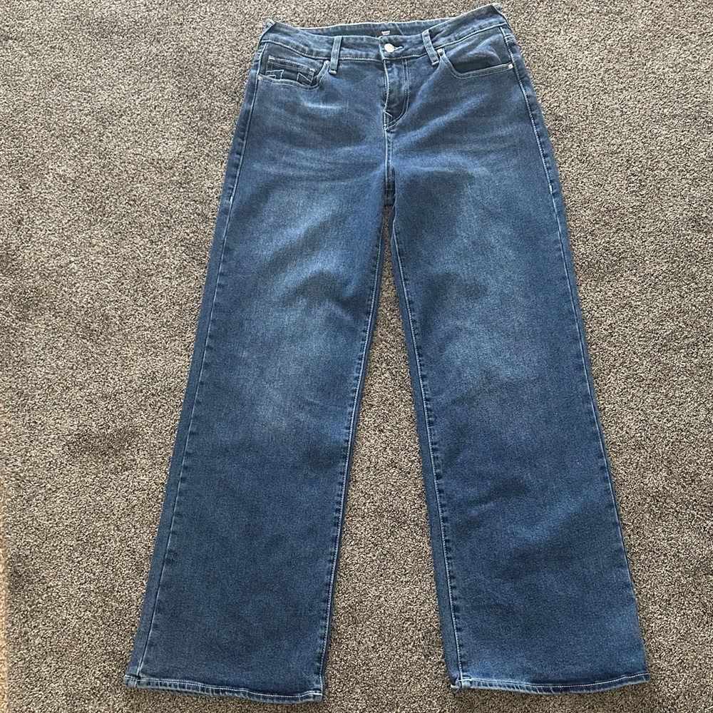 True Religion Bobbi Mid Rise Baggy Jeans Women's Sz 28 wide leg